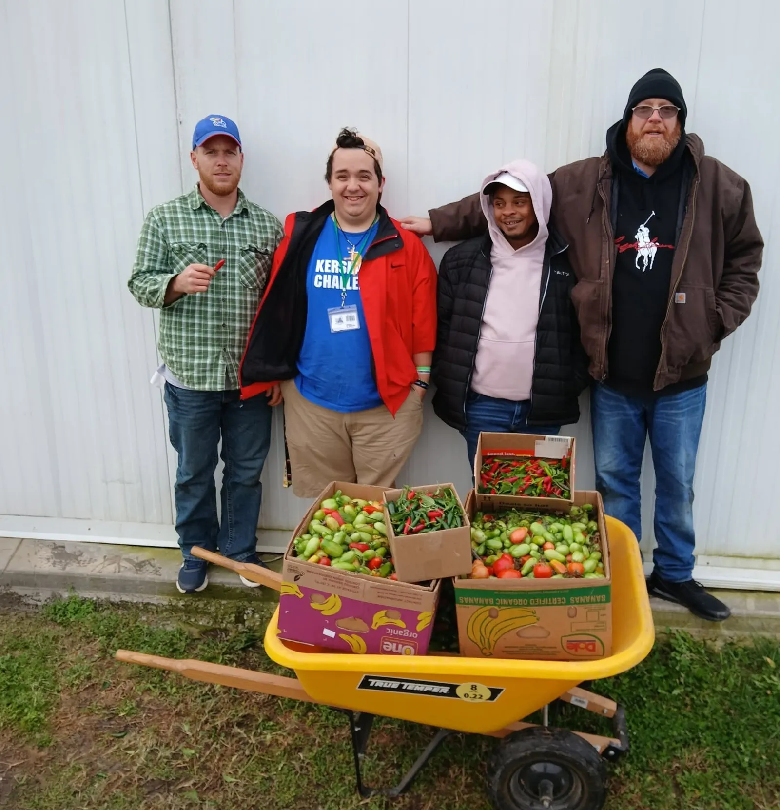 urm men picking vegetables